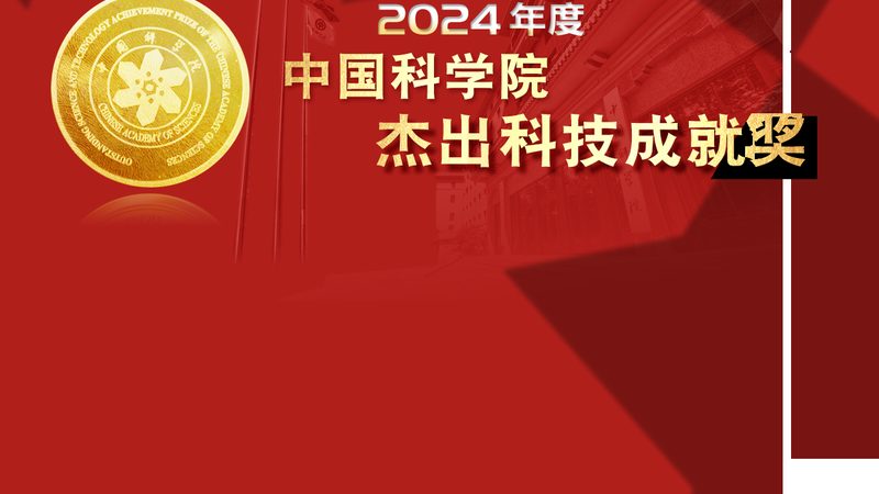 选择合适的合作伙伴是确保项目成功的关键。以下是一些评估合作伙伴实力的要点：